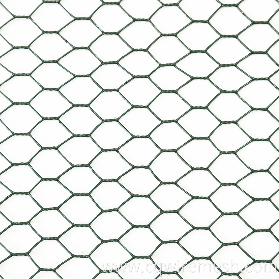 Galvanized Wire Mesh/Chicken Wire Mesh with Hexagonal Wire Netting